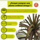 thumbnail image 3 of Planta artificial moderna decorativa Real Style Dracaena Marginata  de 120cm de alto Artego para hogar sala comercio oficina, 3 of 9