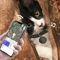 thumbnail image 5 of 2025 New Mini Bell Cat Tracker, Mini Tracker for Pet iOS & Android, Waterproof Cat Collar with Finder Tag, Cats GPS Tracker Collar with Safety Elastic Buckle(A-Android，Black), 5 of 8