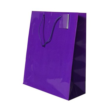 Download JAM Paper Glossy Gift Bags with Rope Handles, Large, 10" x 5" x 13, Purple, Sold Individually ...