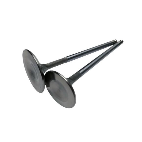 Vannes d'Échappement Inconel de 25 mm pour 2017 Plus Can-Am X3 Rotax 900 Ace