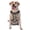 With Accessories, variant on Vsdgher Rose Flowers Pattern Dog Harness,No Pull Pet Harness with Soft Padded Handle,Adjustable Reflective Vest with 2 Buckles,4 Slide Buckles,S-XL Medium