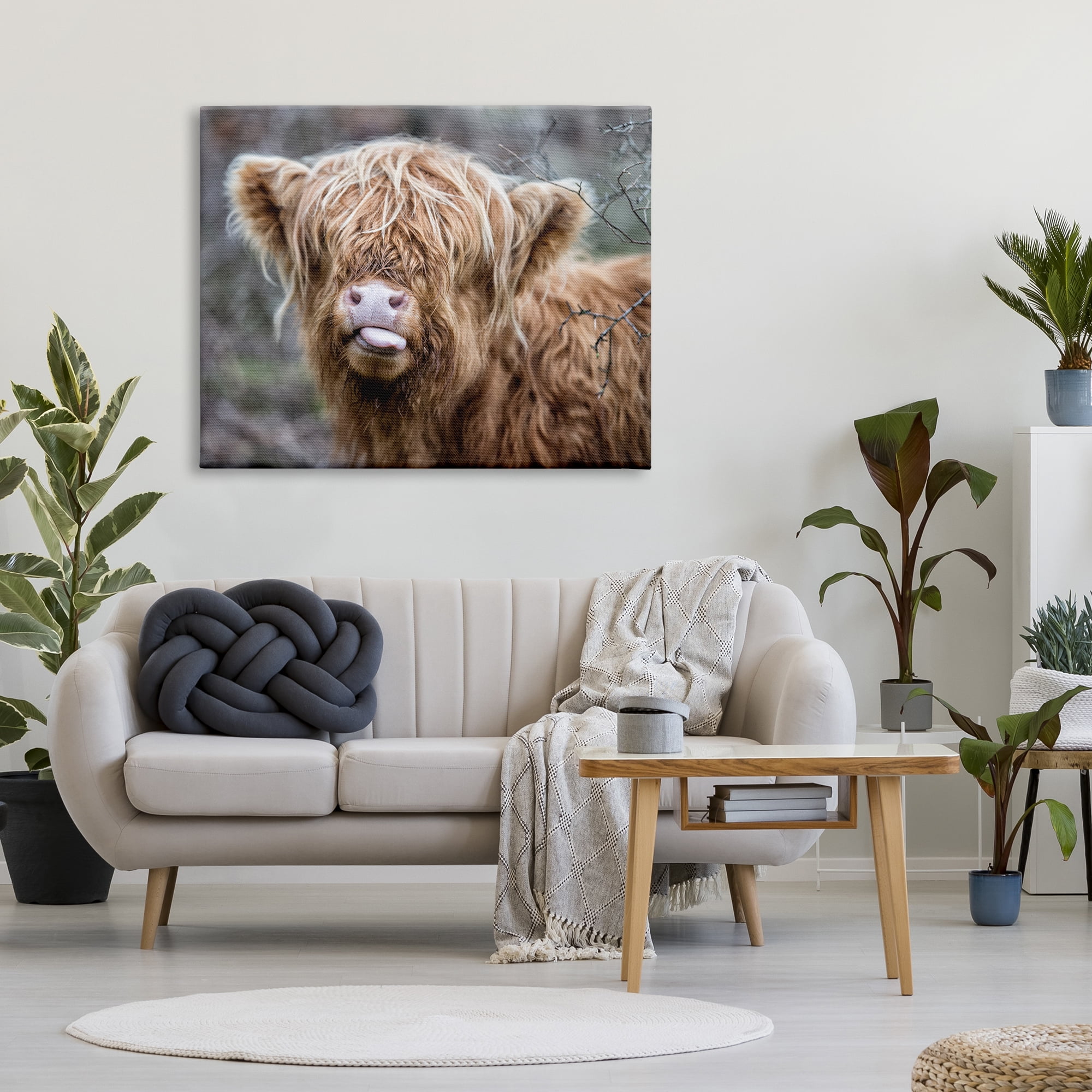 Stupell Industries Baby Highland Calf Cattle Licking Lips Country Farmland Photograph Gallery Wrapped Canvas Print Wall Art, Design by James Dobson
