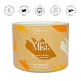 thumbnail image 3 of Vela Mainstays Wood Mist 330 G, 3 of 4