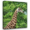 thumbnail image 1 of Dana Underdahl 36x44 Gallery Wrapped Canvas Wall Art Titled - Giraffe II, 1 of 4