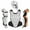WHITE | BLACK, variant on All Star Adult Afx Fastpitch Softball Catchers Set (Large) Black