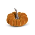 thumbnail image 1 of 5 Pouces Citrouille en Velours Orange, 1 of 1