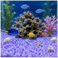 thumbnail image 5 of MMJ Luminous Stones Garden Glow Pebbles Fluorescent Decorative Rocks for Fish Tank Aquarium Walkway Yard Outdoor Landscaping 1000pcs 0.20in, 5 of 6