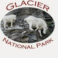 thumbnail image 2 of CafePress - Glacier National Park...Mountain Goat F - White Shot Glass, Unique and Funny Shot Glass, 2 of 2