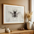 thumbnail image 5 of Eupatorus Gracilicornis - Drawing Vintage Black and White Nature Botanical Line Art Unframed Wall Art Print 5 x 7 inches, 5 of 7