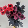 thumbnail image 2 of Flores de Amapola Artificiales Flores de Amapola Falsas Flores de Seda para Decoración de Fiestas en el Hogar Decoración de Bodas ANGGREK Otros, 2 of 8