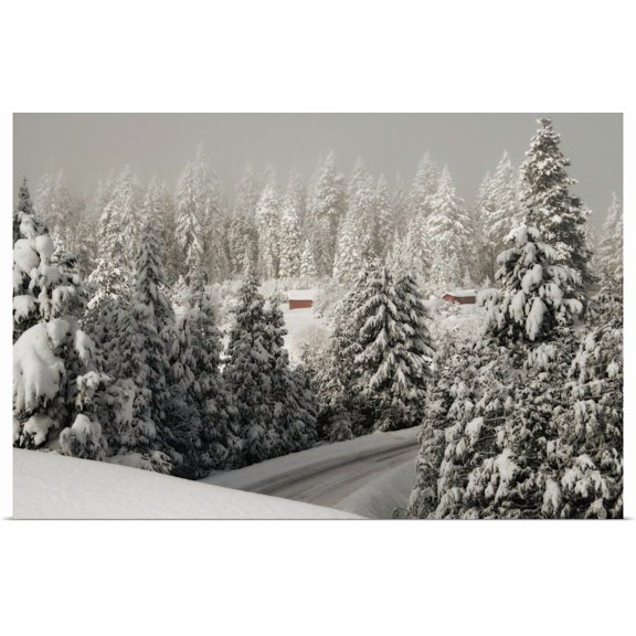 Great BIG Canvas | "Mt. Ashland Rd" Art Print - 36x24