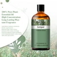 thumbnail image 6 of PHATOIL Juniper Essential Oils for Diffusers Humidifier 100% Pure Natural Aromatherapy Massage Bath Sleep Relaxation 100ml/3.38 fl.Oz, 6 of 8