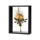 thumbnail image 1 of Marco de Flores Secas Uxcell, Marco de Sombra de Madera de 6 x 8 Pulgadas, Marco de Imagen de Acrílico Doble [Negro], 1 of 1