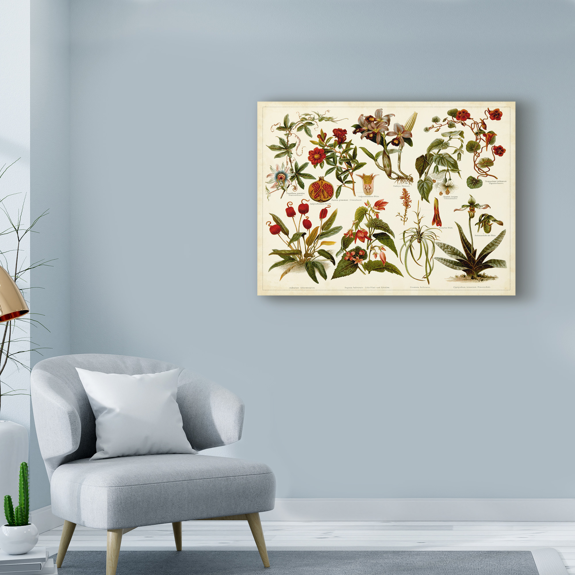Trademark Fine Art 'Tropical Botany Chart II' Canvas Art by Meyers
