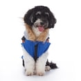 thumbnail image 7 of Small Dog Harness Jacket Hooded,Pet Coat Cold Weather Warm Vest Jacket with Harness,Dog Waterproof Windproof Cotton Costume for Puppy Small Medium Dogs Blue Brown M, 7 of 7