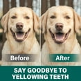 thumbnail image 6 of Dog-Dental-Powder, Dog Dental Care for Plaque Remover and Bad Breath, 100g, 6 of 8