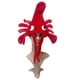 thumbnail image 1 of Crawfish crab hatt partyhatt rolig kreativ halloween cosplay, 1 of 4