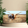thumbnail image 6 of 1 Pcs 2D Flat License Plate Covers & Frames, Longhorn Cow For Decorative Front, Waterproof For Decoration Aluminum License Plate Covers & Frames Cover For Men Women, 12" X 6", 6 of 7