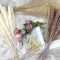 thumbnail image 4 of 60 uds hierba de pampa seca Natural decorativa, reedspapapas Grasstail Weedcrab Billy Balls compatibles con Wedd, 4 of 5