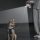 thumbnail image 4 of Correa retráctil para perros, luz LED brillante Cuerda de para perros Recargable para Seguridad Caminar Entrenamiento Suministros para Yinane Correa retráctil, 4 of 8