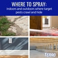thumbnail image 4 of TERRO T2302 Spider Killer Aerosol Spray, 4 of 6
