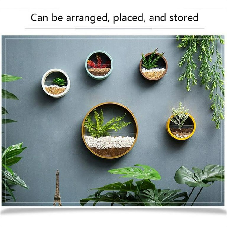 THHEIC Wall Planters, Modern Round Glass Wall Planter Succulent Planter,  Circle Iron Hanging Planter Vase for Herb and Small Cactus, for Balcony,  Room, and Patio - Walmart.com