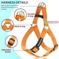 thumbnail image 3 of DMISOCHR Dog Harness and Leash Set with Collar - Step in No Pull Dog Harness, 3 of 5