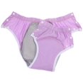 thumbnail image 3 of Panties Diapers Leakproof Urinal Nappy Anti-leak Adult Washable Aldult Reusable for Home Elderly Miss, 3 of 5
