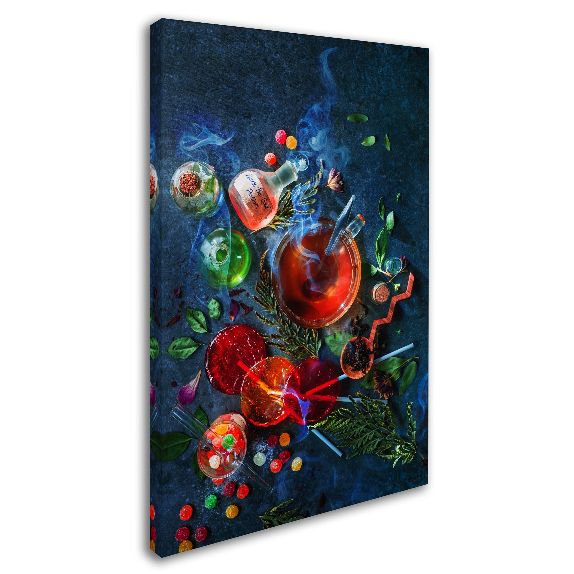 Trademark Fine Art 'Don't Be Sad Potion' Canvas Art by Dina Belenko