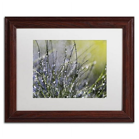Trademark Fine Art "Spring Morning" Canvas Art by Beata Czyzowska Young, White Matte, Wood Frame