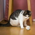 thumbnail image 6 of Cat Toy Balls with Bell 2PCS, Colorful Soft Fuzzy Balls Built-in Bell for Cats, Interactive Playing Chewing Toys for Indoor Cats and Kittens, 6 of 7