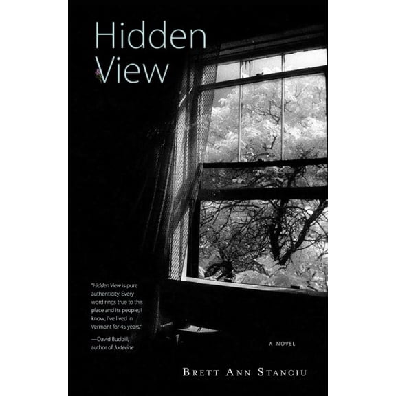 Pre-Owned Hidden View (Paperback)