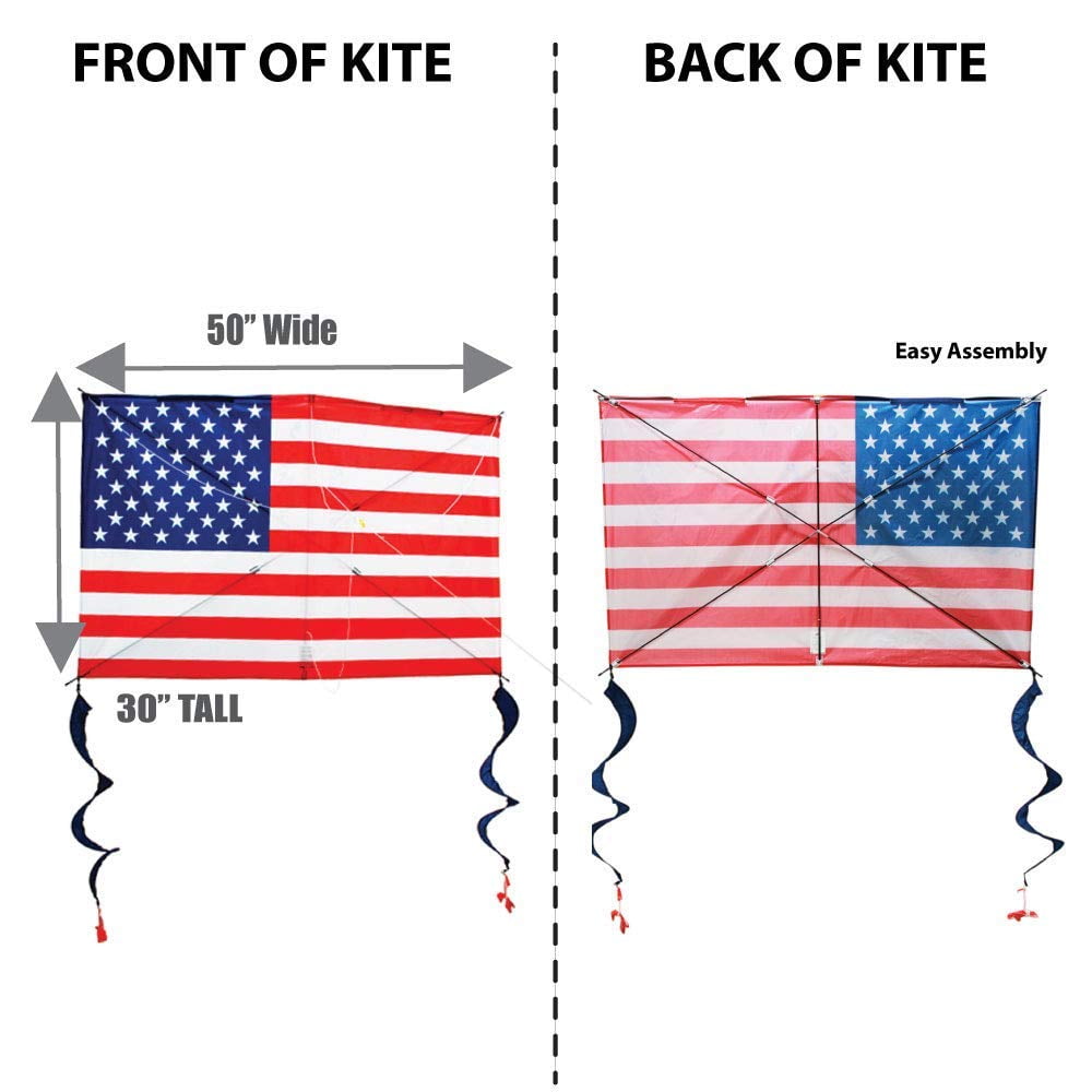 WindNSun Supersize Ultra High Definition 2D Large Ripstop Nylon Kites