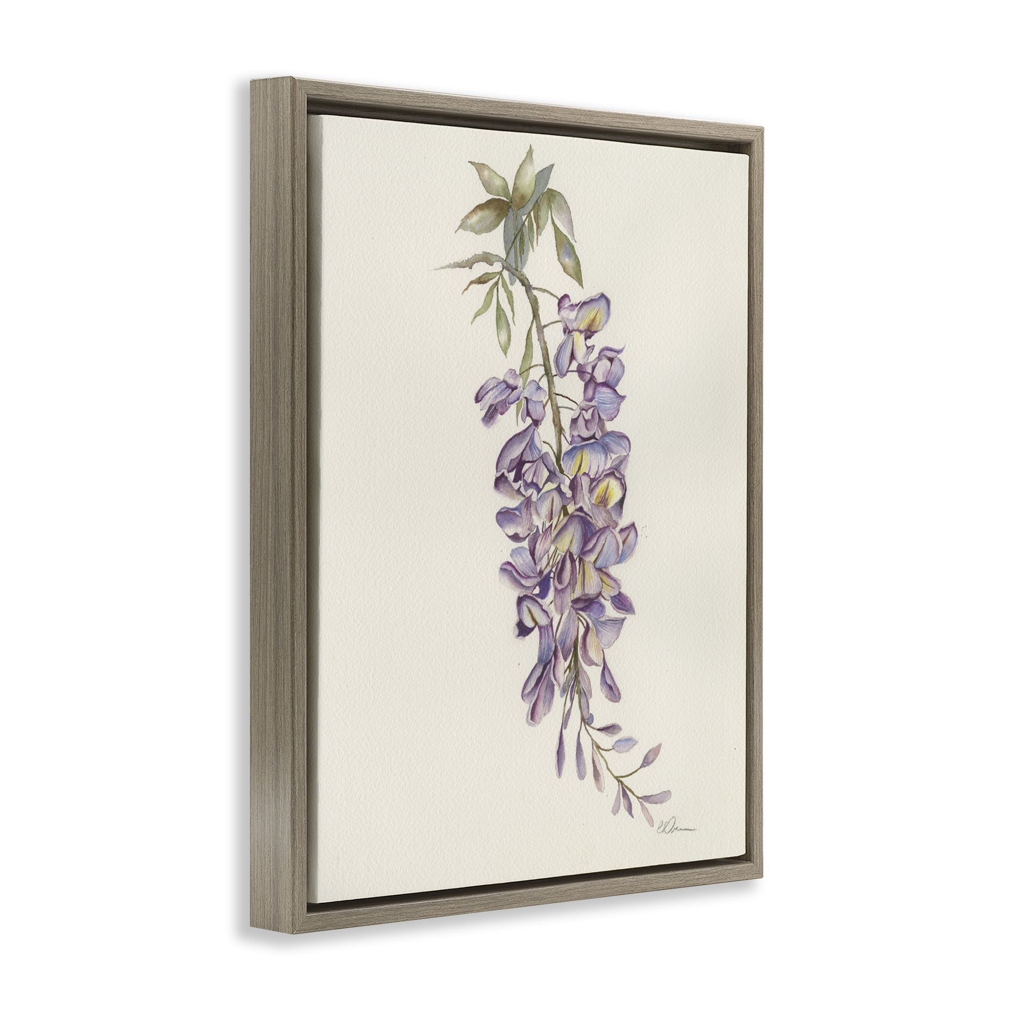 Stupell Industries Delicate Hyacinths Study Brown Framed Floater Canvas Wall Art, design by Cady Driver