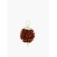 thumbnail image 4 of Petrichor Original 5 Faced Rudraksha Bead with Silver Capping (5 Mukhi with Certificate), 4 of 5