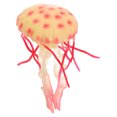 thumbnail image 5 of Milisten Simulation Marine Model Jellyfish Model Yard Water Creature Toy for Kids Ocean Toy for Kids, 5 of 5