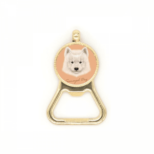 White Samoyedo perro animal de compañia Botellas de cerveza, abrelatas de acero inoxidable.