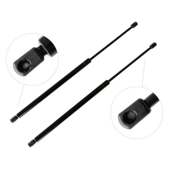 Tahoe Rear Hatch Struts