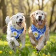 thumbnail image 3 of Dog Bandana 2 Pack,Blue Daisy Flower Lightblue Petals Pattern Bandanas for Dogs,Cat Bandana,Small/ Large Dog Bandana 2 Size,Dog Bandanas Girl Boy, 3 of 6