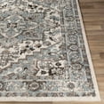 thumbnail image 4 of Surya Norwich NWC-2312 Indoor Area Rug, 4 of 10