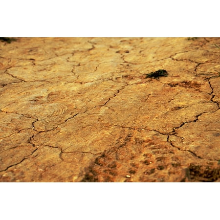 - LAMINATED POSTER Landmark Brown Ground Texture Golden Bronze Poster Print 24 x 36