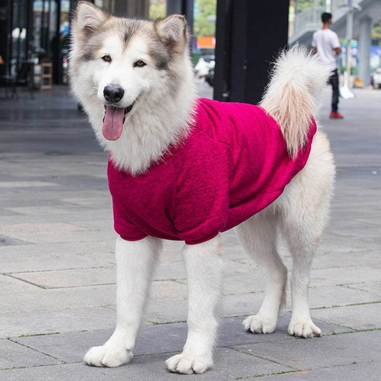Xxl dog hotsell sweater walmart