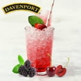 thumbnail image 3 of Tisana gourmet Davenport moras y cerezas 50 g, 3 of 3