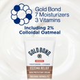 thumbnail image 6 of Gold Bond Medicated Eczema Relief Hand & Body Lotion Cream, Extra Strength Moisturizer for Dry Skin, 8 oz, 6 of 13