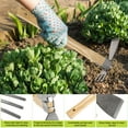 thumbnail image 3 of 2 PCS Herramientas de Azada de Jardín, Cultivador de Mano de Acero Inoxidable de 15 Pulgadas y Pico de Mano con Mango de Madera Maciza, Azada de Pico para Cavado/Desherbado/Jardinería/Plantación, 3 of 7