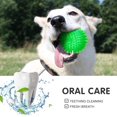 thumbnail image 4 of pelotas de juguete para perros, pelotas chirriantes para perros, pelota para masticar para perros, juguete flotante para piscina, juguete para lanzar cachorros, juguete para masticar para aburri, 4 of 5