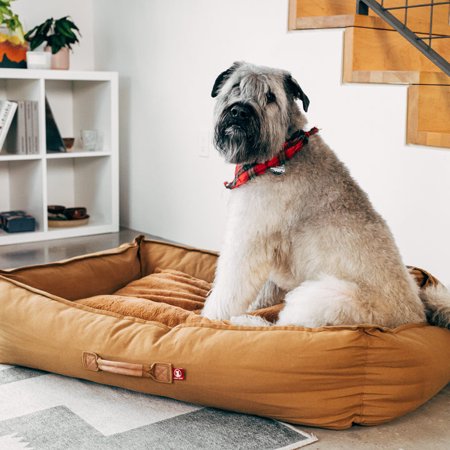 Lucky Dog DRIFT Series 30  Cognac Bolster Bed