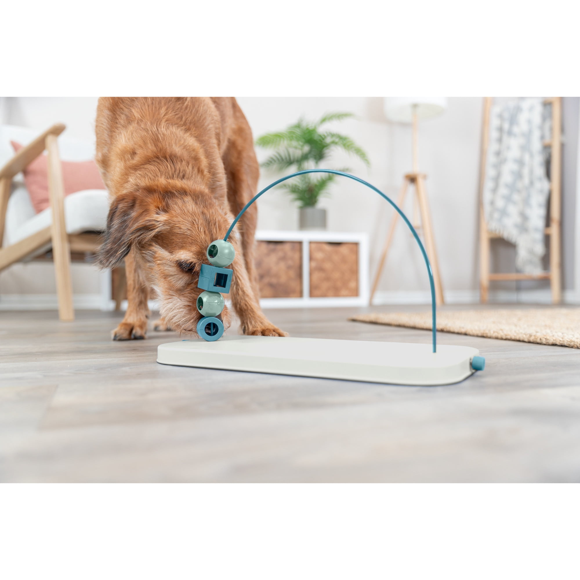 TRIXIE Dog Activity Skills Loop Strategy Game, Level 4 Advanced Food Puzzle for Smart Dogs
