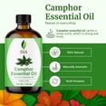 thumbnail image 6 of SVA Camphor Essential Oil – 4 Fl Oz – 100% Natural Camphor Oil - for Diffuser, Hair Care, Face, Skin Care, Aromatherapy, Scalp and Body Massage, Soap and Candle Making – with Dropper, 6 of 9