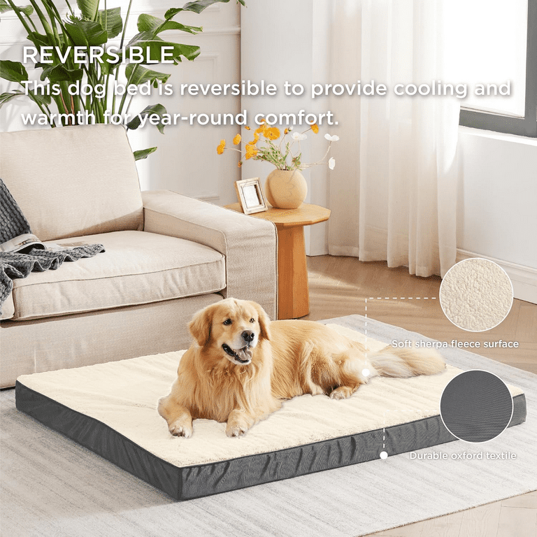 Covered dog beds for large dogs deals
